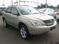 Bamboo Green Pearl - RX 350 AWD Photo No. 7