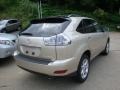 Savannah Metallic - RX 350 AWD Photo No. 2