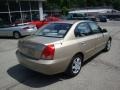 2006 Champagne Beige Hyundai Elantra GLS Sedan  photo #2