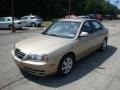 2006 Champagne Beige Hyundai Elantra GLS Sedan  photo #5