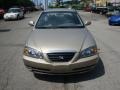 2006 Champagne Beige Hyundai Elantra GLS Sedan  photo #6