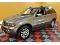 Sterling Grey Metallic - X5 3.0i Photo No. 3