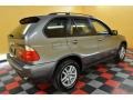 Sterling Grey Metallic - X5 3.0i Photo No. 6