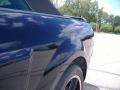 2007 Black/Gold Stripe Ford Mustang Shelby GT-H Convertible  photo #11