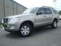 2008 Vapor Silver Metallic Ford Explorer XLT  photo #2