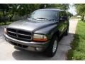 Graphite Metallic - Durango SLT 4x4 Photo No. 18