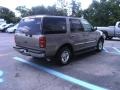 Arizona Beige Metallic - Expedition XLT Photo No. 3