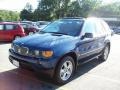 Topaz Blue Metallic - X5 4.4i Photo No. 21