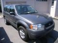 Dark Shadow Grey Metallic - Escape XLS V6 4WD Photo No. 6
