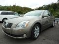 Spirited Bronze Pearl - Maxima 3.5 SL Photo No. 3