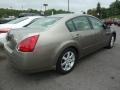 Spirited Bronze Pearl - Maxima 3.5 SL Photo No. 6