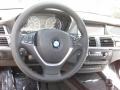 2010 Titanium Silver Metallic BMW X5 xDrive48i  photo #9