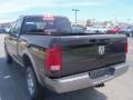 Brilliant Black Crystal Pearl - Ram 2500 TRX4-Off Road Crew Cab 4x4 Photo No. 8