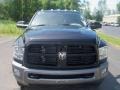 Brilliant Black Crystal Pearl - Ram 2500 TRX4-Off Road Crew Cab 4x4 Photo No. 12