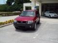 Redfire Metallic - Escape XLT Photo No. 3