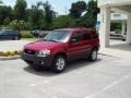 Redfire Metallic - Escape XLT Photo No. 4