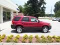 Redfire Metallic - Escape XLT Photo No. 11