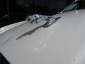 2005 White Onyx Jaguar XJ Vanden Plas  photo #5