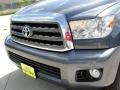 Slate Metallic - Sequoia SR5 4WD Photo No. 12
