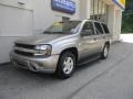 Light Pewter Metallic - TrailBlazer LS 4x4 Photo No. 2