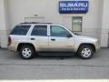 Light Pewter Metallic - TrailBlazer LS 4x4 Photo No. 5