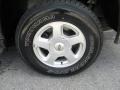 Light Pewter Metallic - TrailBlazer LS 4x4 Photo No. 19