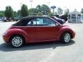 Salsa Red - New Beetle SE Convertible Photo No. 4