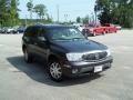 Titanium Gray Metallic - Rainier CXL AWD Photo No. 3