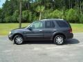 Titanium Gray Metallic - Rainier CXL AWD Photo No. 8