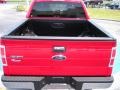 2010 Vermillion Red Ford F150 XLT SuperCrew 4x4  photo #10