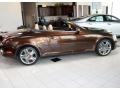 Tigereye Mica - SC 430 Convertible Photo No. 3