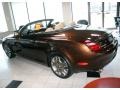 Tigereye Mica - SC 430 Convertible Photo No. 6