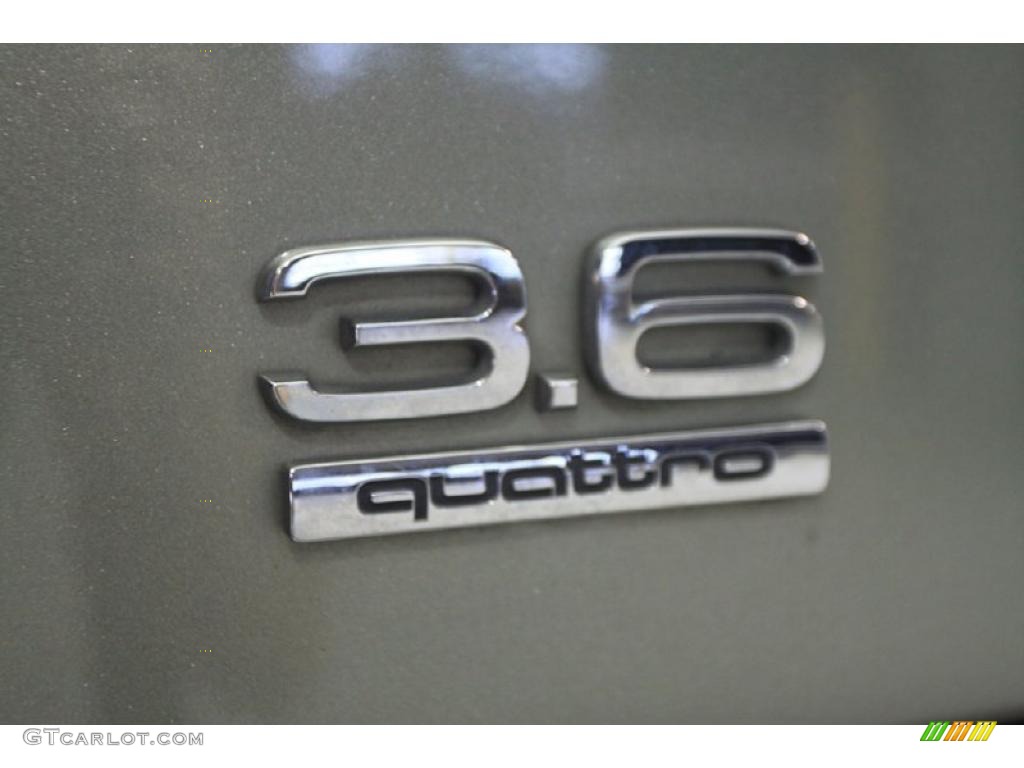 2007 Q7 3.6 Premium quattro - Sycamore Green Metallic / Limestone Grey photo #33