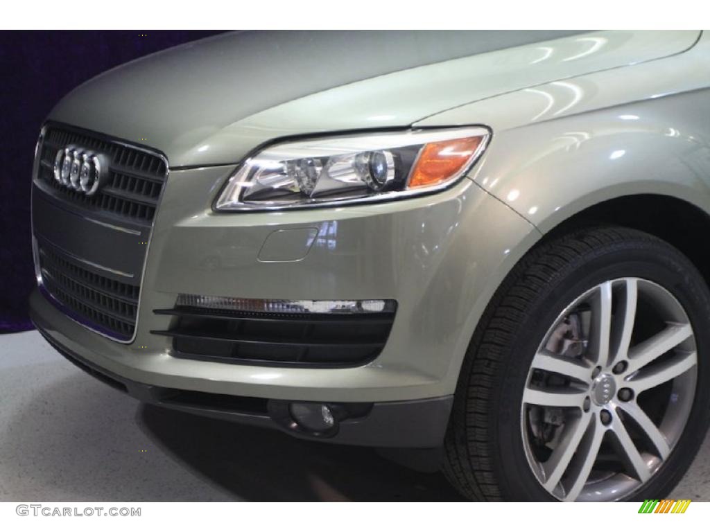 2007 Q7 3.6 Premium quattro - Sycamore Green Metallic / Limestone Grey photo #42