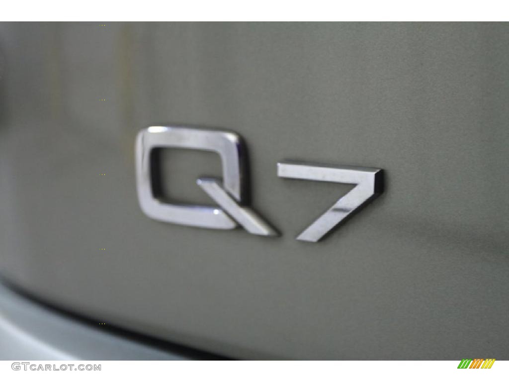 2007 Q7 3.6 Premium quattro - Sycamore Green Metallic / Limestone Grey photo #43