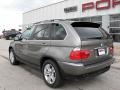 2006 Sterling Grey Metallic BMW X5 4.4i  photo #4