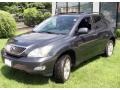 Flint Mica - RX 350 AWD Photo No. 1