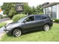 Flint Mica - RX 350 AWD Photo No. 5