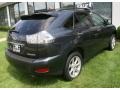 Flint Mica - RX 350 AWD Photo No. 11