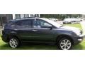 Flint Mica - RX 350 AWD Photo No. 12