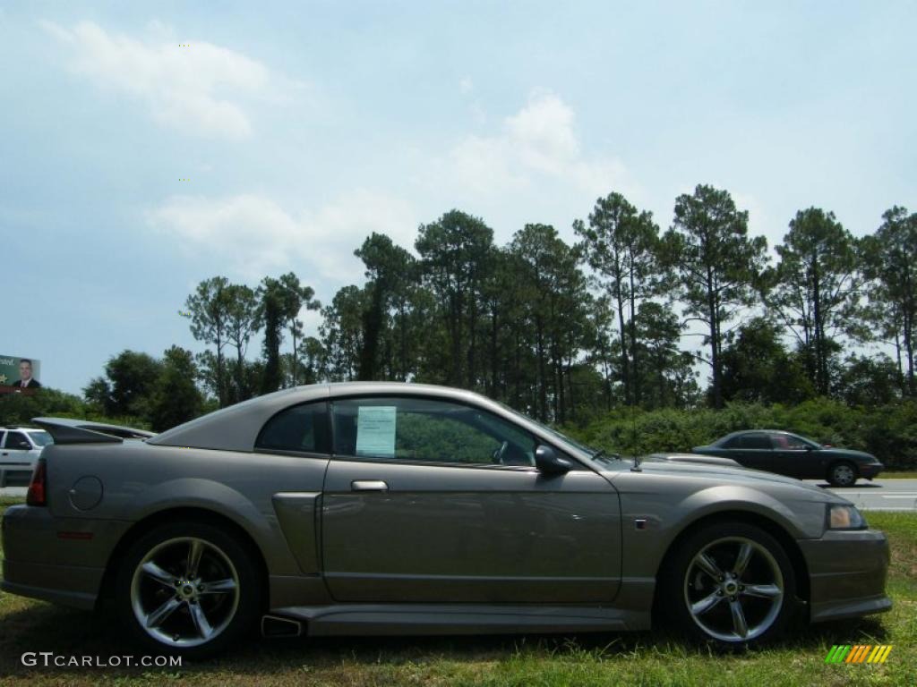 2002 Mustang GT Coupe - Mineral Grey Metallic / Dark Charcoal photo #6