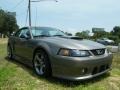 2002 Mineral Grey Metallic Ford Mustang GT Coupe  photo #7