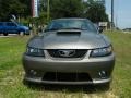 2002 Mineral Grey Metallic Ford Mustang GT Coupe  photo #8