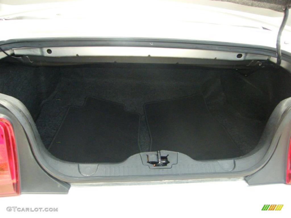 2010 Mustang V6 Convertible - Brilliant Silver Metallic / Stone photo #30