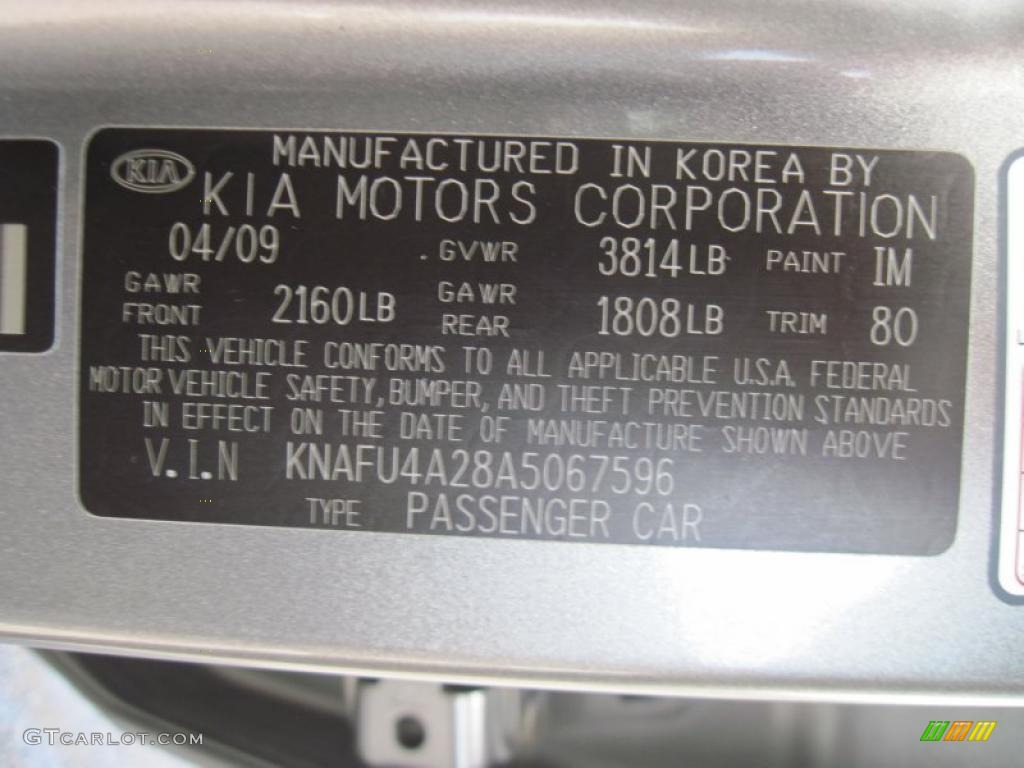 2010 Forte Color Code IM for Titanium Photo #33460954