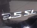 2007 Smoke Gray Metallic Nissan Quest 3.5 SL  photo #15