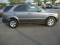 Alpine Gray - Sorento EX 4WD Photo No. 6