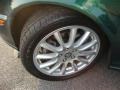 Jaguar Racing Green Metallic - X-Type 3.0 Photo No. 21