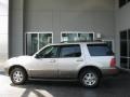 Silver Birch Metallic - Mountaineer Convenience AWD Photo No. 2