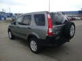 2005 Silver Moss Metallic Honda CR-V EX 4WD  photo #2